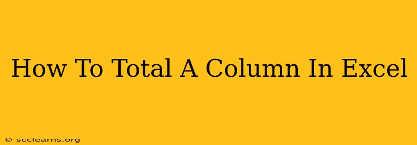 How To Total A Column In Excel