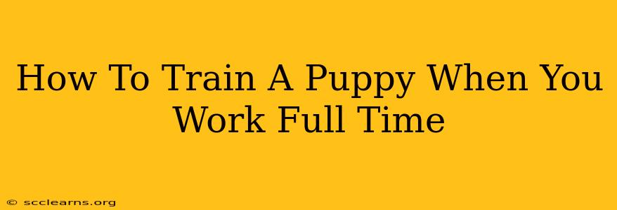 How To Train A Puppy When You Work Full Time