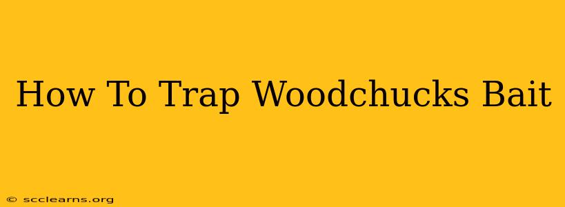 How To Trap Woodchucks Bait