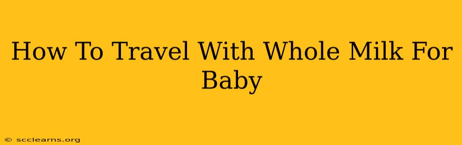 How To Travel With Whole Milk For Baby