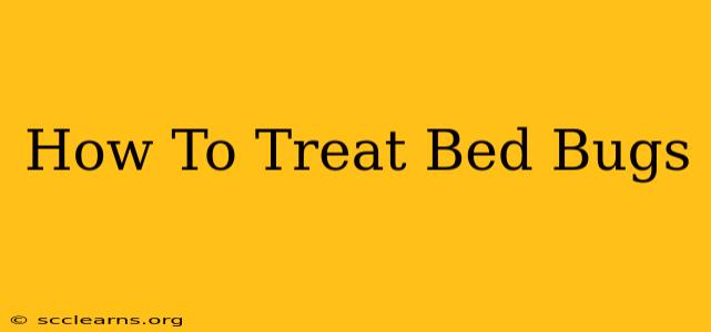 How To Treat Bed Bugs