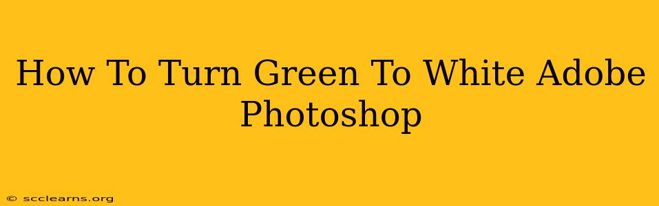 How To Turn Green To White Adobe Photoshop