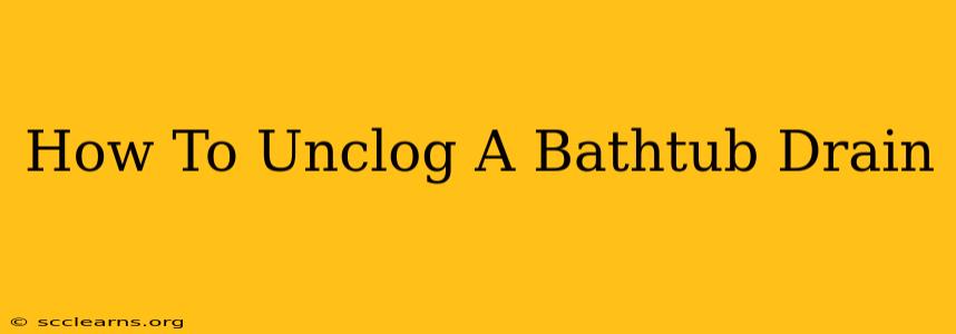 How To Unclog A Bathtub Drain