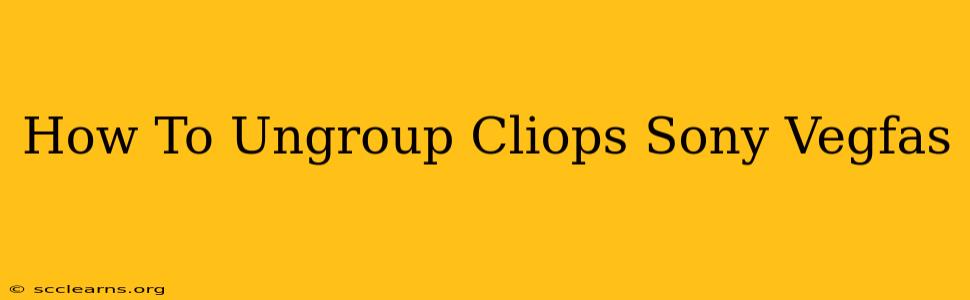 How To Ungroup Cliops Sony Vegfas