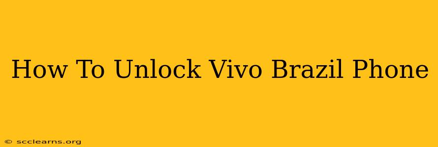 How To Unlock Vivo Brazil Phone