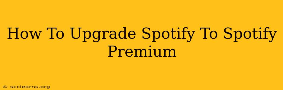 How To Upgrade Spotify To Spotify Premium