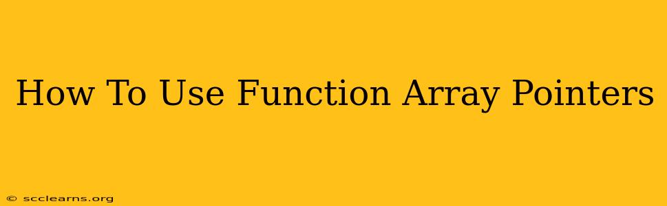 How To Use Function Array Pointers