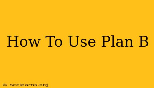 How To Use Plan B