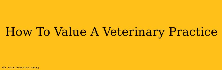 How To Value A Veterinary Practice