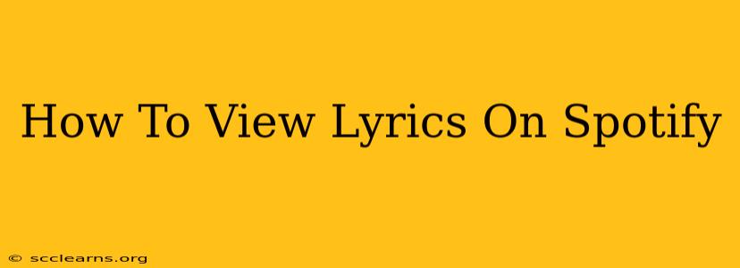 How To View Lyrics On Spotify