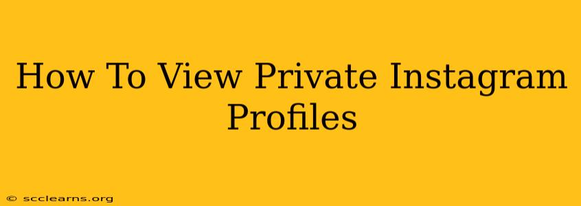 How To View Private Instagram Profiles