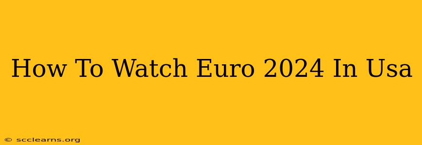 How To Watch Euro 2024 In Usa