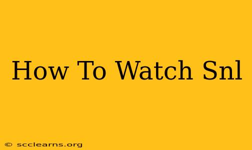 How To Watch Snl