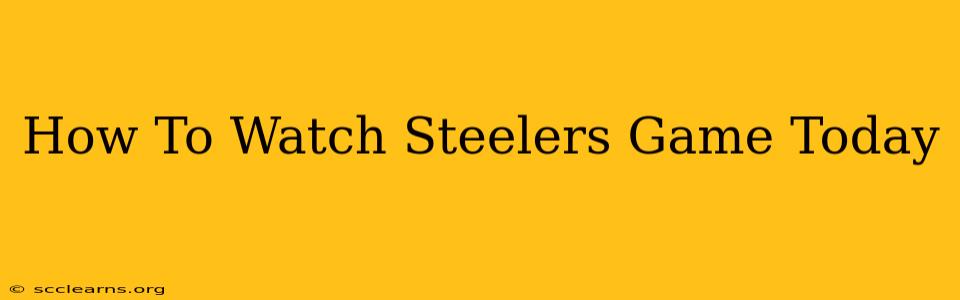 How To Watch Steelers Game Today