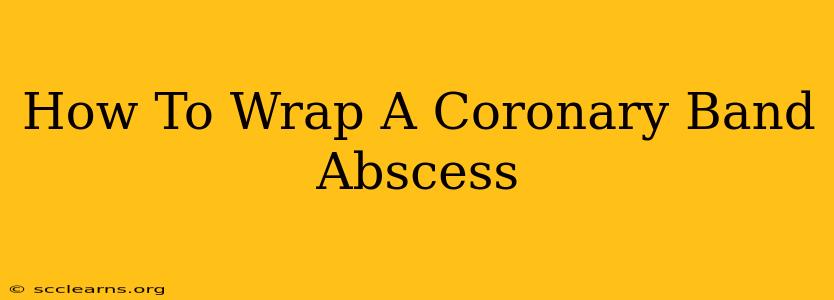 How To Wrap A Coronary Band Abscess