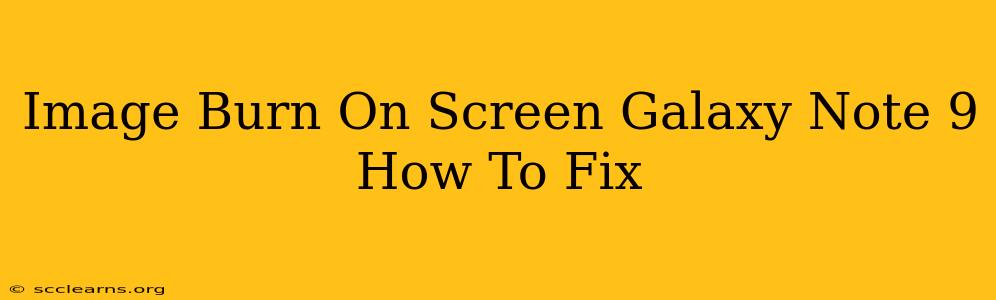 Image Burn On Screen Galaxy Note 9 How To Fix