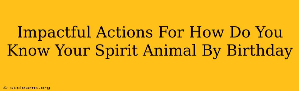 Impactful Actions For How Do You Know Your Spirit Animal By Birthday