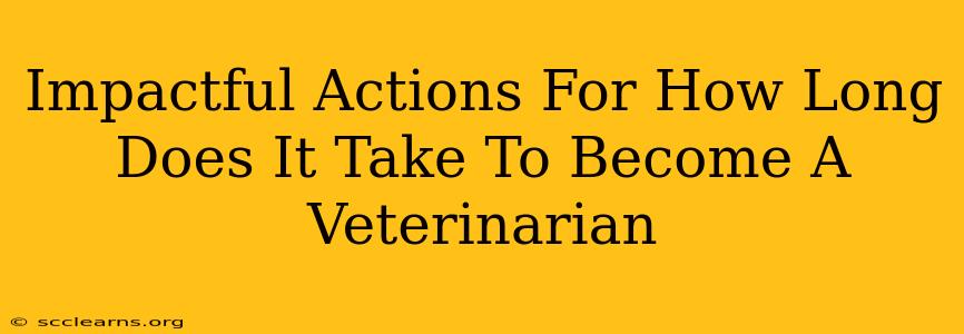 Impactful Actions For How Long Does It Take To Become A Veterinarian