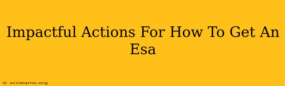 Impactful Actions For How To Get An Esa