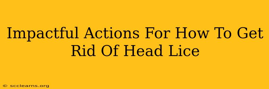 Impactful Actions For How To Get Rid Of Head Lice