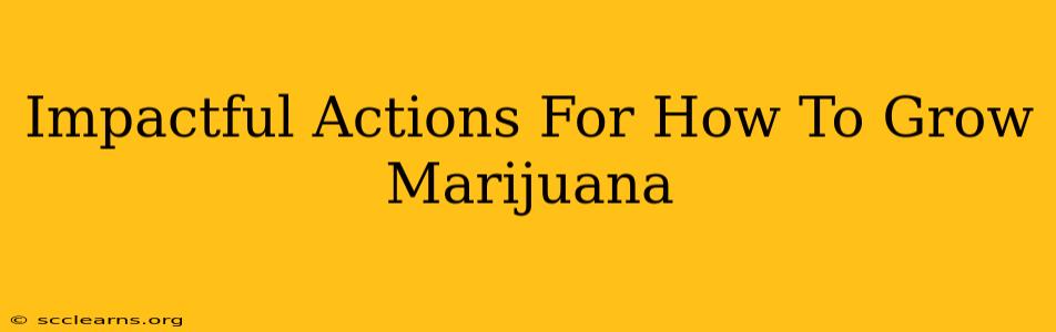 Impactful Actions For How To Grow Marijuana