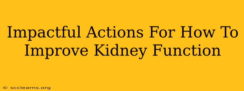 Impactful Actions For How To Improve Kidney Function