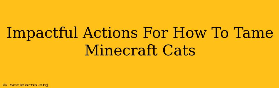 Impactful Actions For How To Tame Minecraft Cats