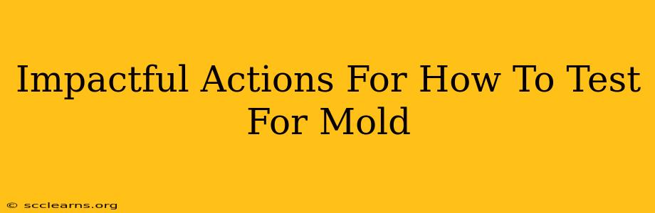 Impactful Actions For How To Test For Mold