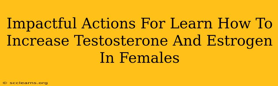 Impactful Actions For Learn How To Increase Testosterone And Estrogen In Females