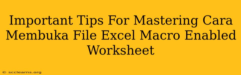 Important Tips For Mastering Cara Membuka File Excel Macro Enabled Worksheet