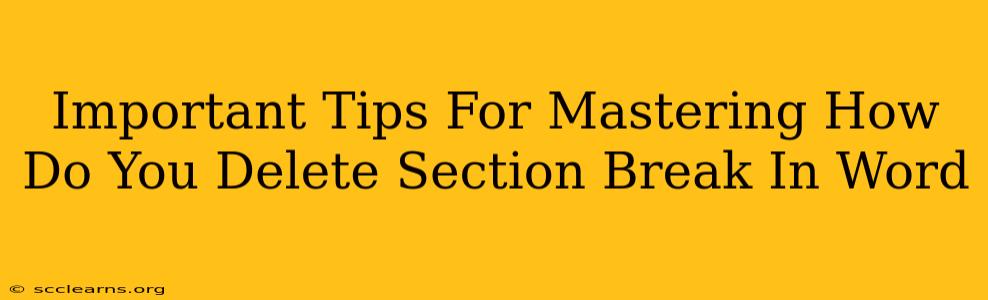 Important Tips For Mastering How Do You Delete Section Break In Word