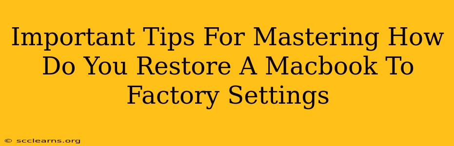 Important Tips For Mastering How Do You Restore A Macbook To Factory Settings