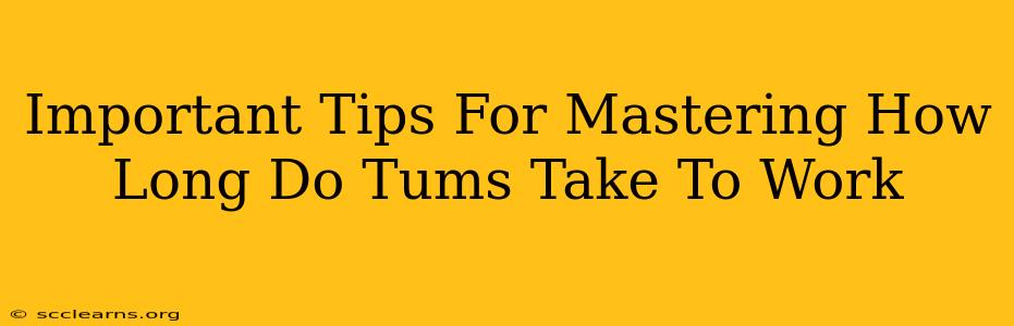 Important Tips For Mastering How Long Do Tums Take To Work