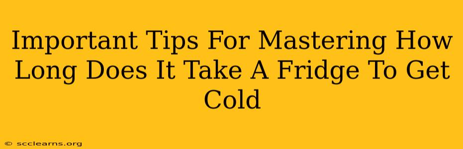 Important Tips For Mastering How Long Does It Take A Fridge To Get Cold