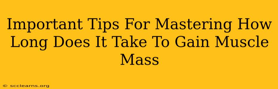 Important Tips For Mastering How Long Does It Take To Gain Muscle Mass