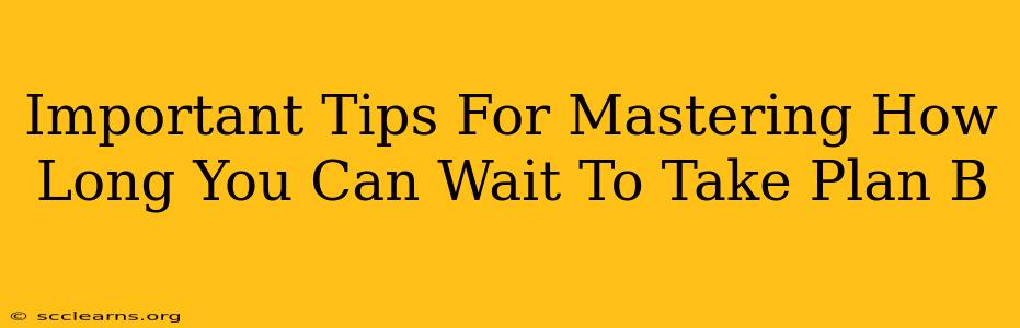 Important Tips For Mastering How Long You Can Wait To Take Plan B