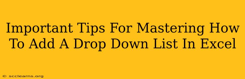 Important Tips For Mastering How To Add A Drop Down List In Excel