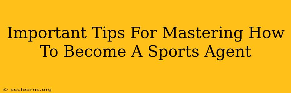 Important Tips For Mastering How To Become A Sports Agent