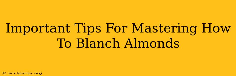 Important Tips For Mastering How To Blanch Almonds