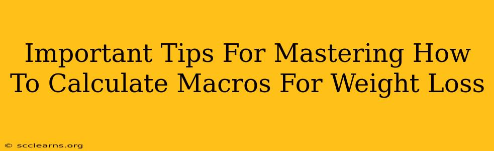 Important Tips For Mastering How To Calculate Macros For Weight Loss