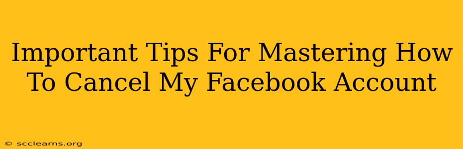 Important Tips For Mastering How To Cancel My Facebook Account