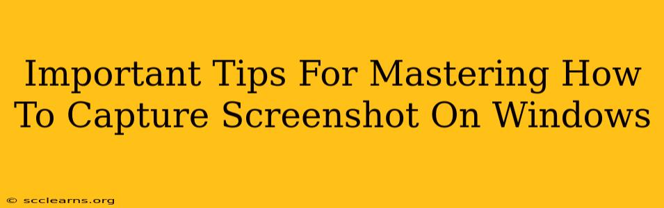 Important Tips For Mastering How To Capture Screenshot On Windows