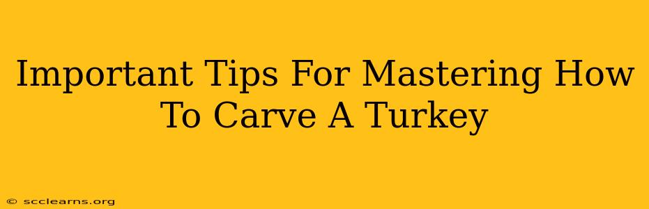 Important Tips For Mastering How To Carve A Turkey