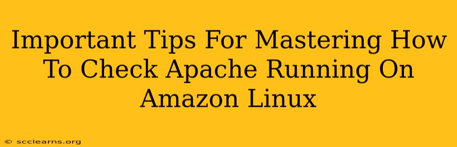 Important Tips For Mastering How To Check Apache Running On Amazon Linux