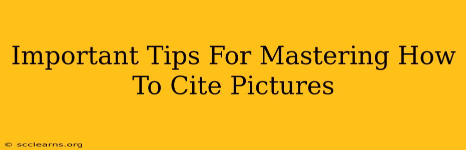 Important Tips For Mastering How To Cite Pictures