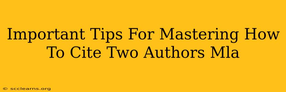 Important Tips For Mastering How To Cite Two Authors Mla