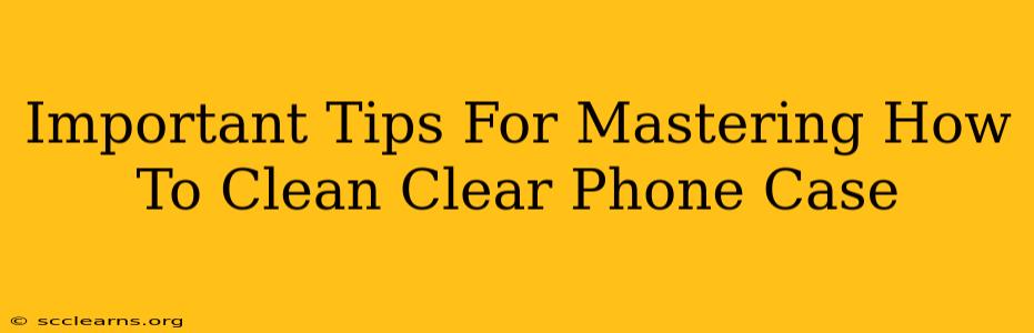 Important Tips For Mastering How To Clean Clear Phone Case