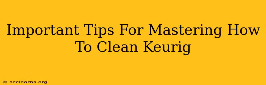 Important Tips For Mastering How To Clean Keurig