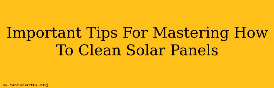 Important Tips For Mastering How To Clean Solar Panels