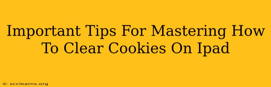 Important Tips For Mastering How To Clear Cookies On Ipad